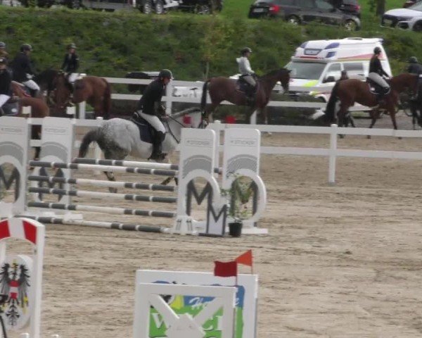 Reitturnier St. Margarethen 2022