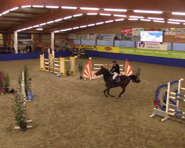 Euregio Springturnier Isterberg 2021