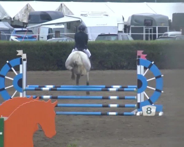 Reitturnier Sachendorf 2023