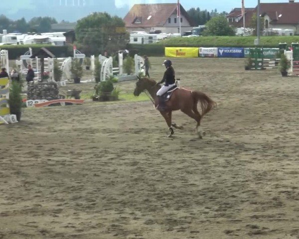 Reitturnier Sachendorf 2023