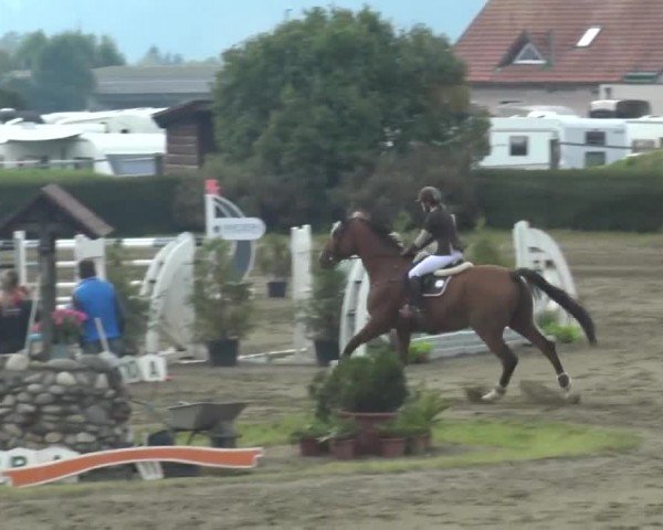 Reitturnier Sachendorf 2023