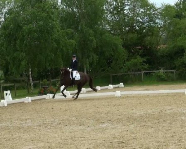 Lienen Dressur und Springturnier 2012