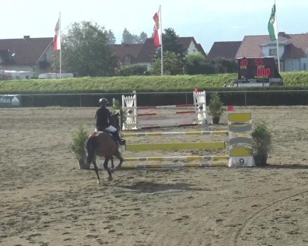 Reitturnier Sachendorf 2023
