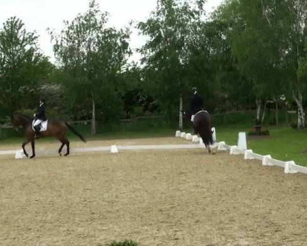 Lienen Dressur und Springturnier 2012