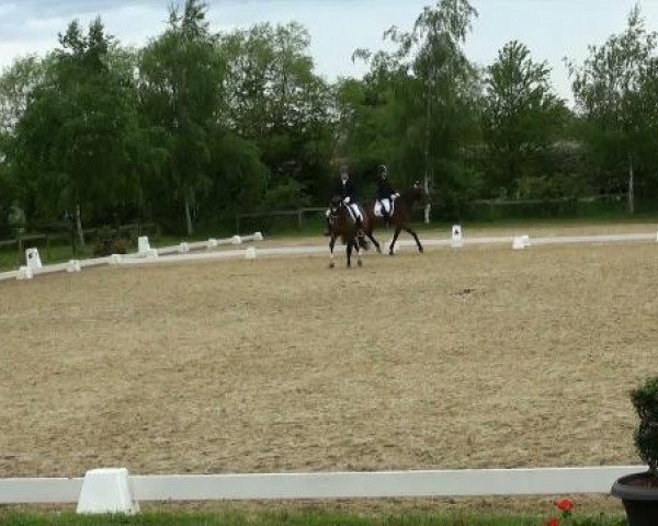 Lienen Dressur und Springturnier 2012