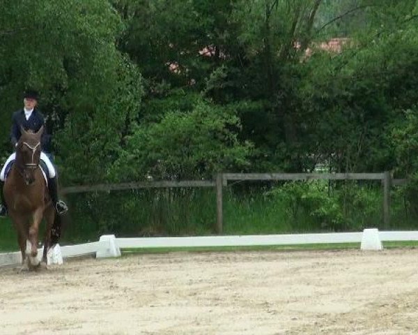 Lienen Dressur und Springturnier 2012