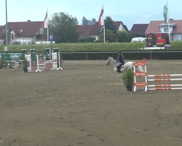 Reitturnier Sachendorf 2023