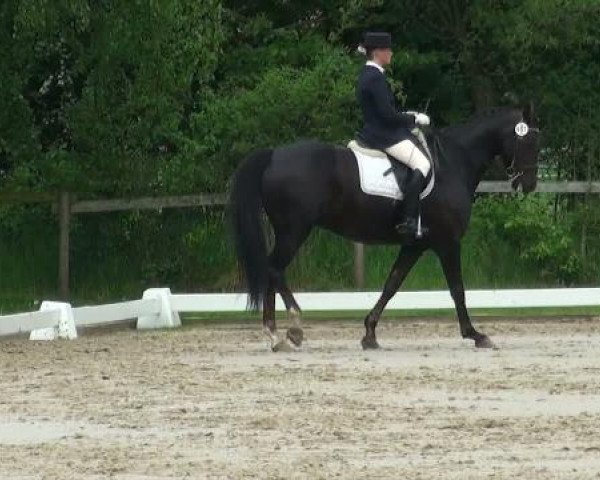 Lienen Dressur und Springturnier 2012