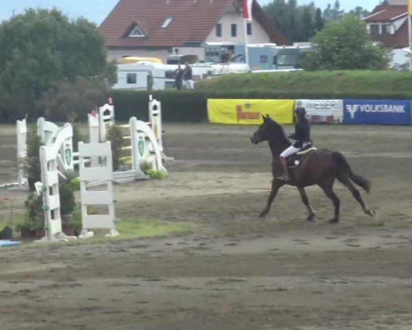 Reitturnier Sachendorf 2023