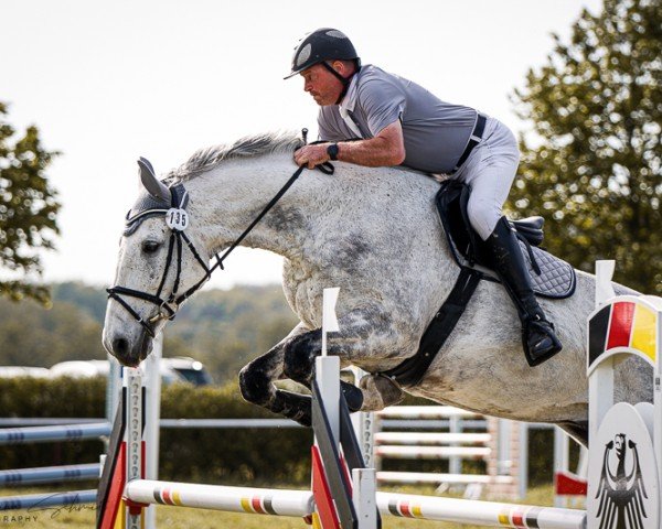 Springpferd Linus W (Deutsches Sportpferd, 2011, von Lagazoui)