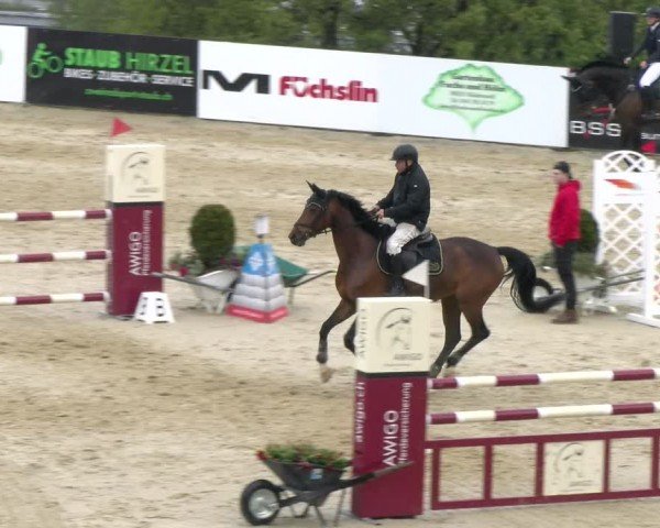 Reitturnier Wädenswil 2024
