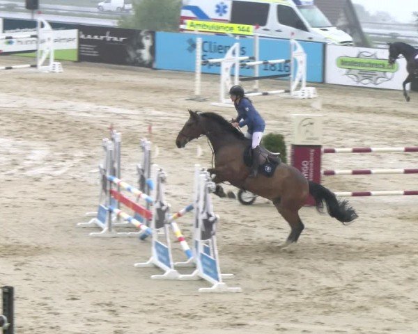 Reitturnier Wädenswil 2024