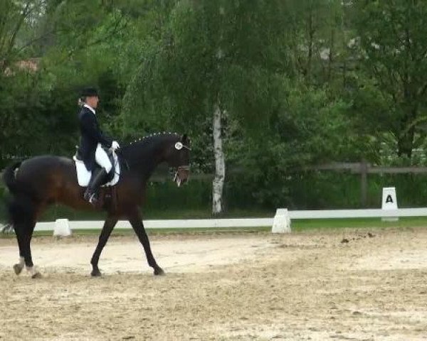 Lienen Dressur und Springturnier 2012