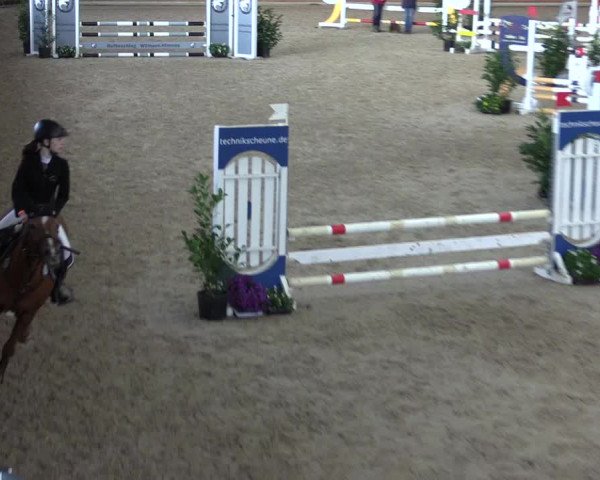 Ponyturnier Xanten - Reitanlage Miss 2021