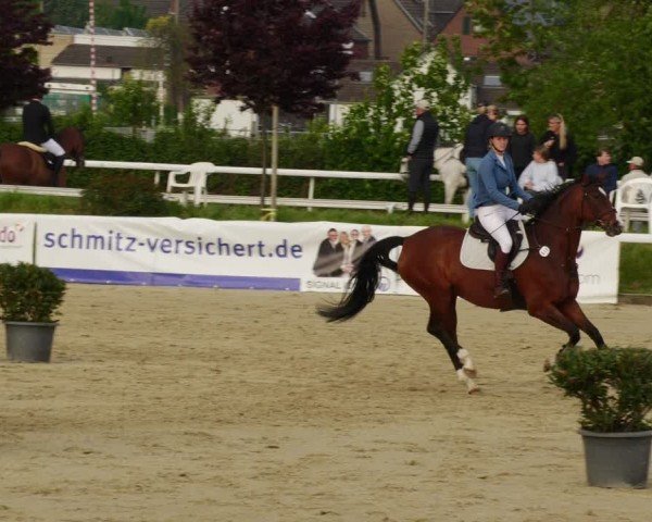 Reitturnier Bornheim-Widdig 2024