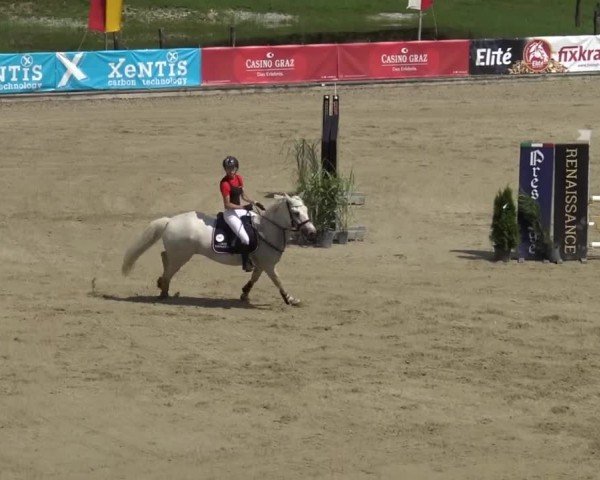Reitturnier Piber 2023