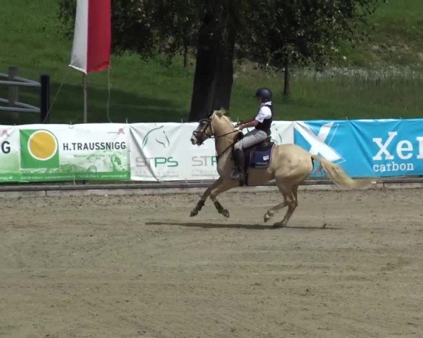 Reitturnier Piber 2023