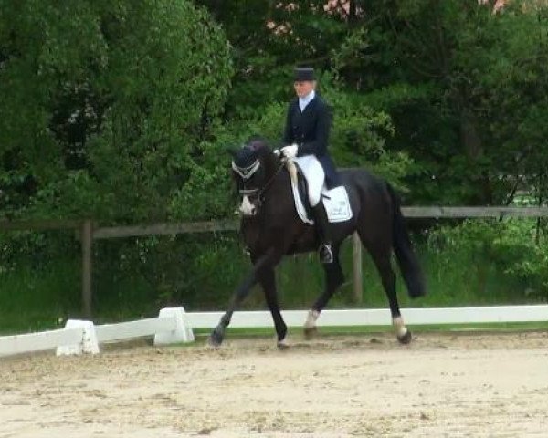 Lienen Dressur und Springturnier 2012