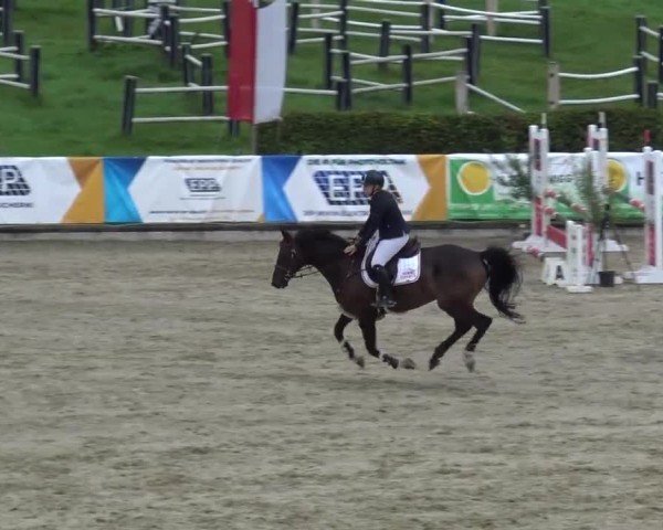 Reitturnier Piber 2023