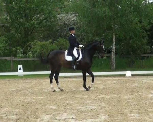 Lienen Dressur und Springturnier 2012