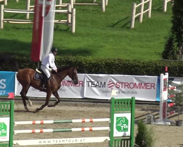 Reitturnier Piber 2023