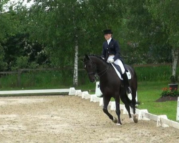 Lienen Dressur und Springturnier 2012