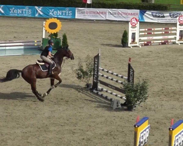 Reitturnier Piber 2023