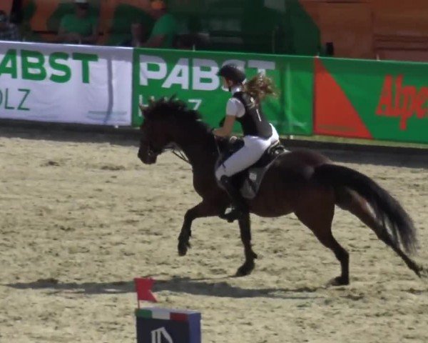 Reitturnier Piber 2023