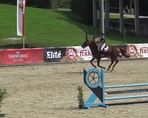 Reitturnier Piber 2023