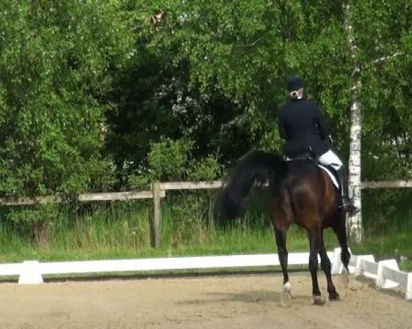 Lienen Dressur und Springturnier 2012