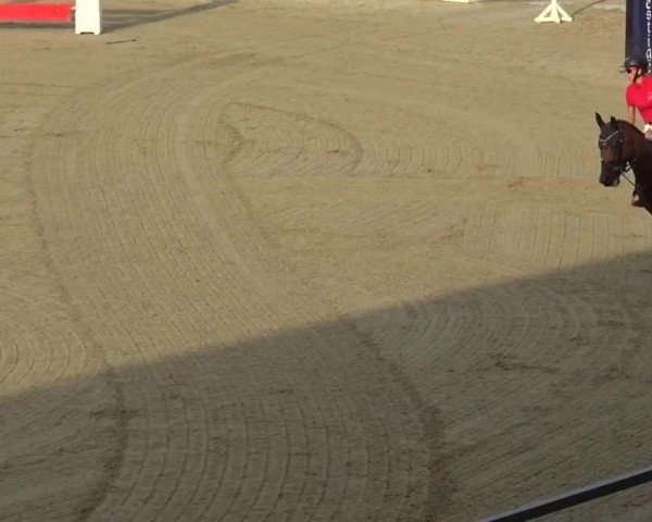 Reitturnier Piber 2023