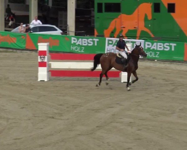 Reitturnier Piber 2023