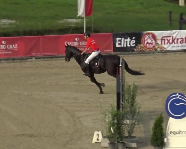 Reitturnier Piber 2023