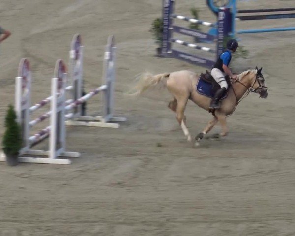 Reitturnier Piber 2023
