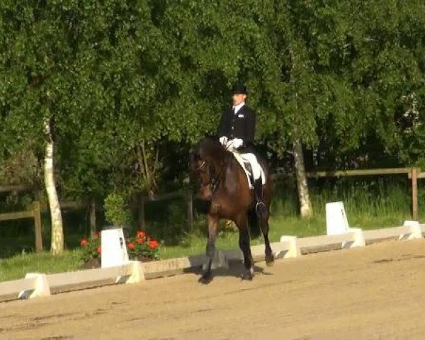 Lienen Dressur und Springturnier 2012