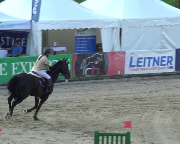 Reitturnier Piber 2023