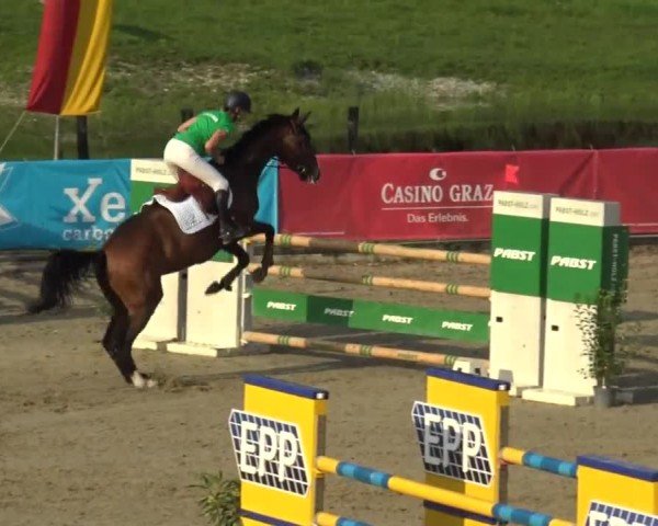 Reitturnier Piber 2023