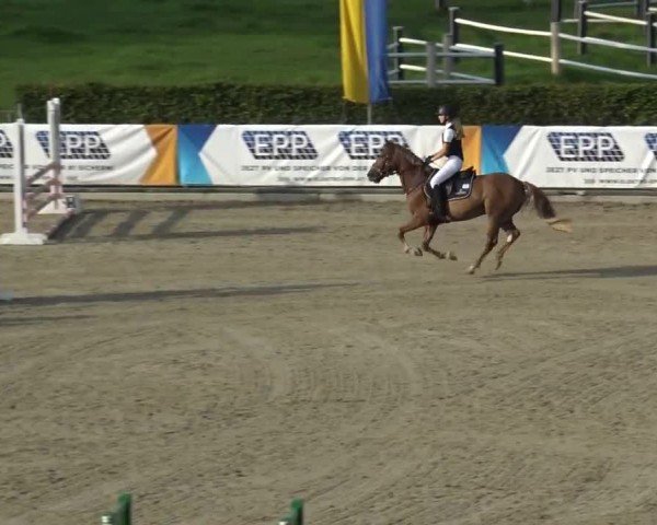 Reitturnier Piber 2023
