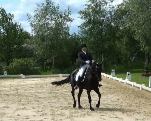 Lienen Dressur und Springturnier 2012