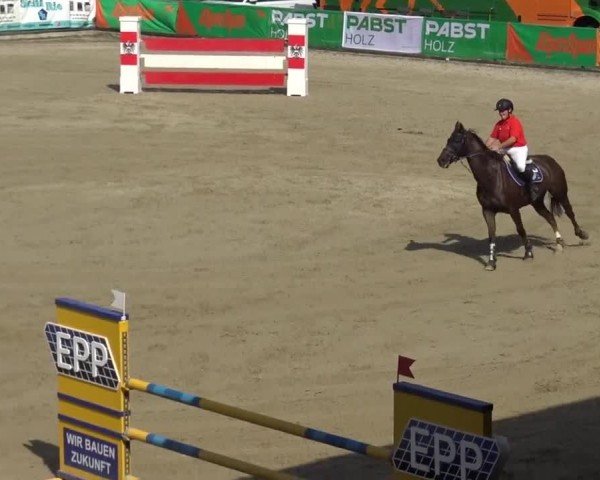 Reitturnier Piber 2023