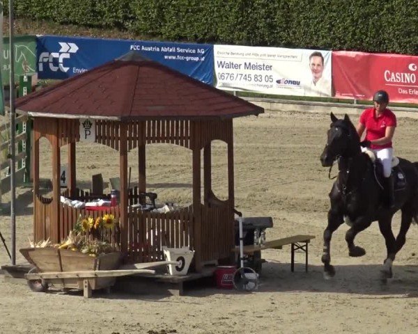 Reitturnier Piber 2023