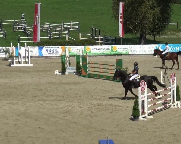 Reitturnier Piber 2023