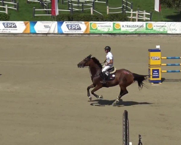 Reitturnier Piber 2023