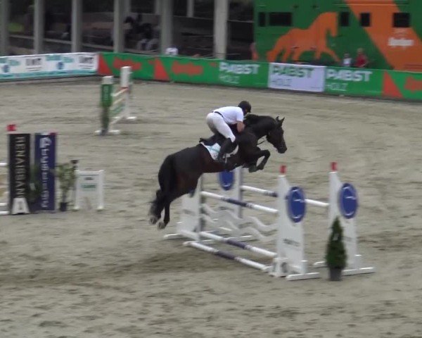 Reitturnier Piber 2023