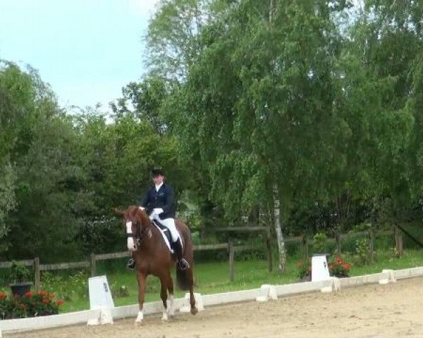 Lienen Dressur und Springturnier 2012