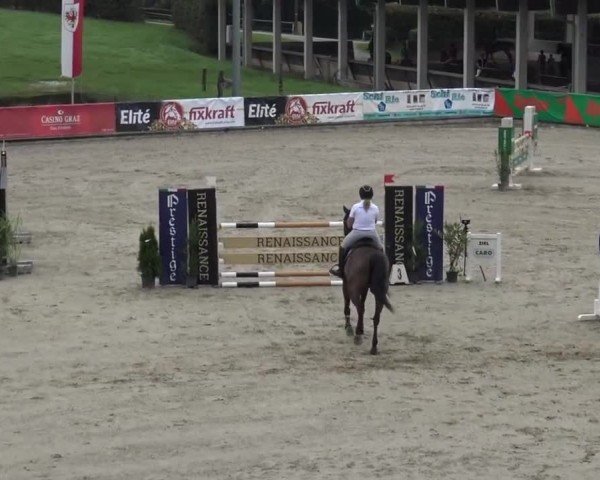 Reitturnier Piber 2023