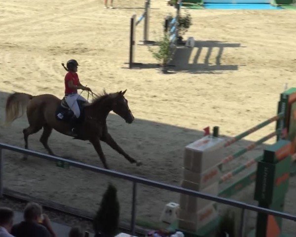 Reitturnier Piber 2023