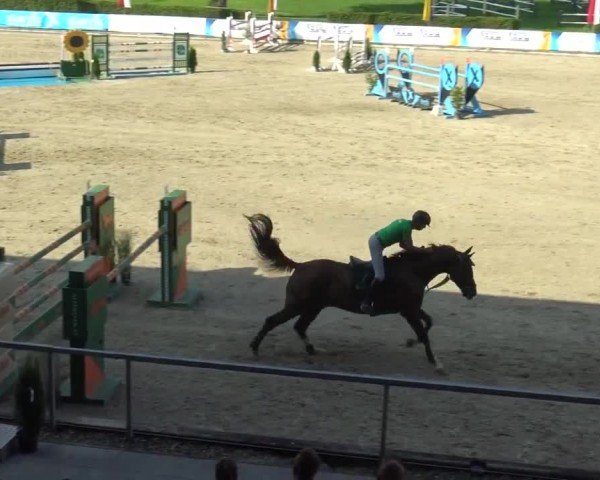 Reitturnier Piber 2023