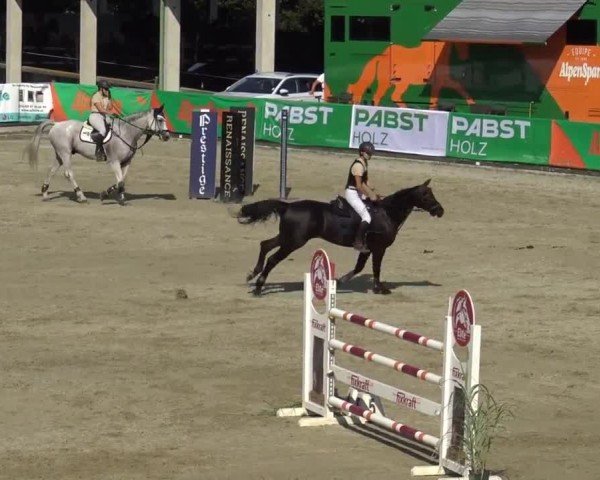 Reitturnier Piber 2023