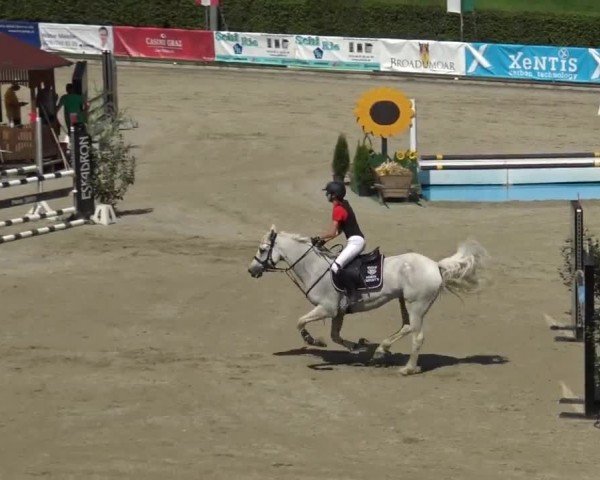 Reitturnier Piber 2023
